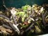 Come Ottenere un Buon Compost
