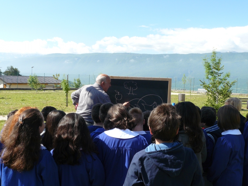 L' Incontro nella Scuola Elementare di San Demetrio Nè Vestini (AQ)