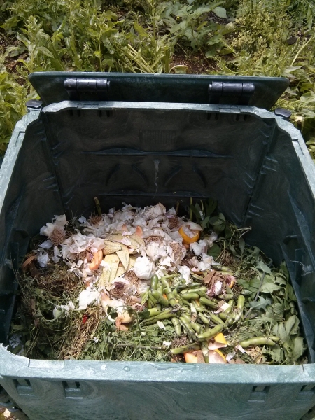 L'interno di un composter