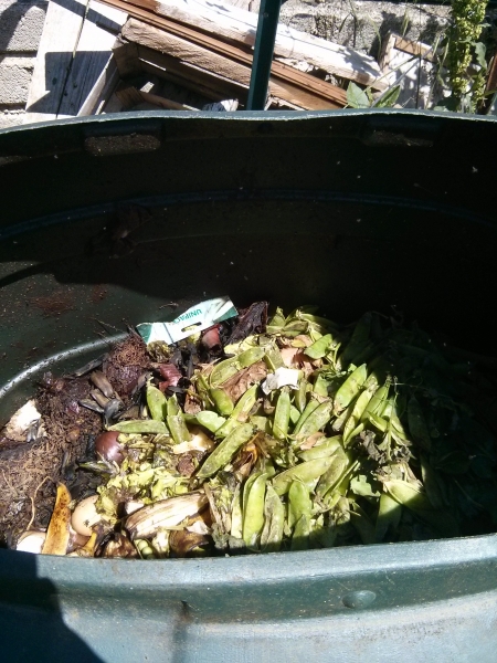 L'interno di un composter