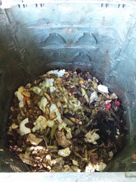 L'interno di un composter