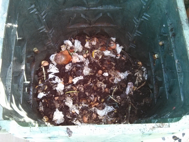 L'interno di un composter