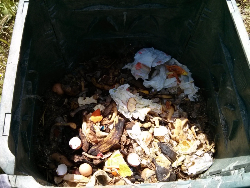 L'interno di un composter