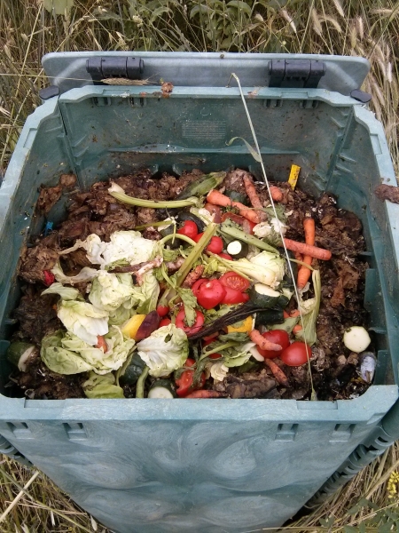 L'interno di un composter