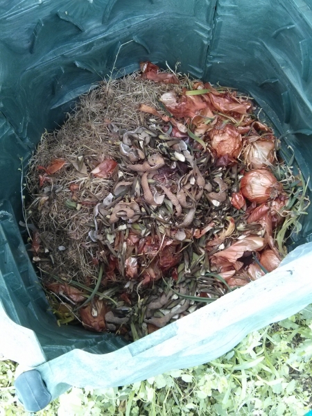 L'interno di un composter