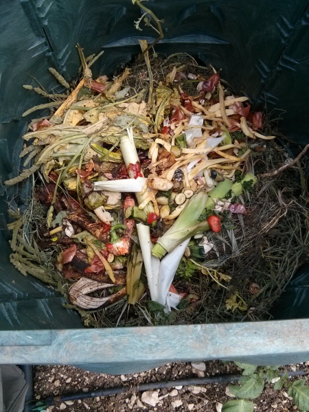 L'interno di un composter