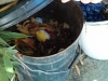 Il rifiuto organico preparato per l'orto