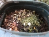 Altro composter pieno